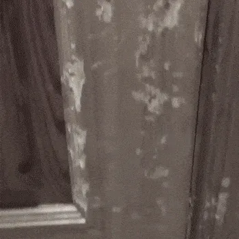 Final Image