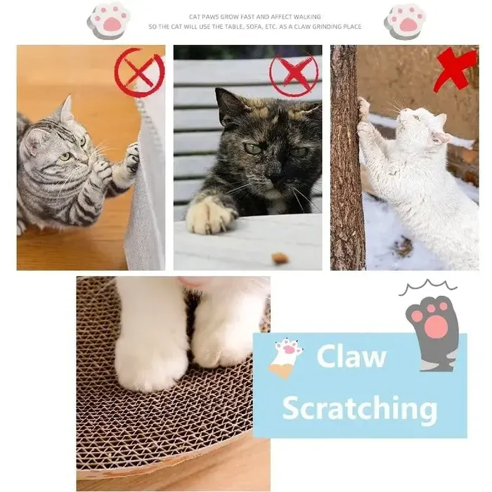 Furniture Safety