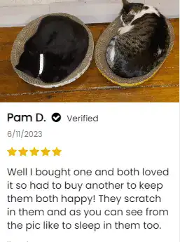 Feedback