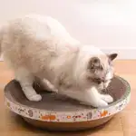 Cat Bed for Stress-Relief, Claw Health & Furniture Safety U01