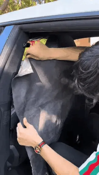 Car interior repair