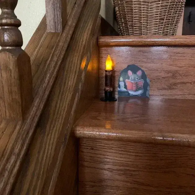 Mouse Reading a Book Design