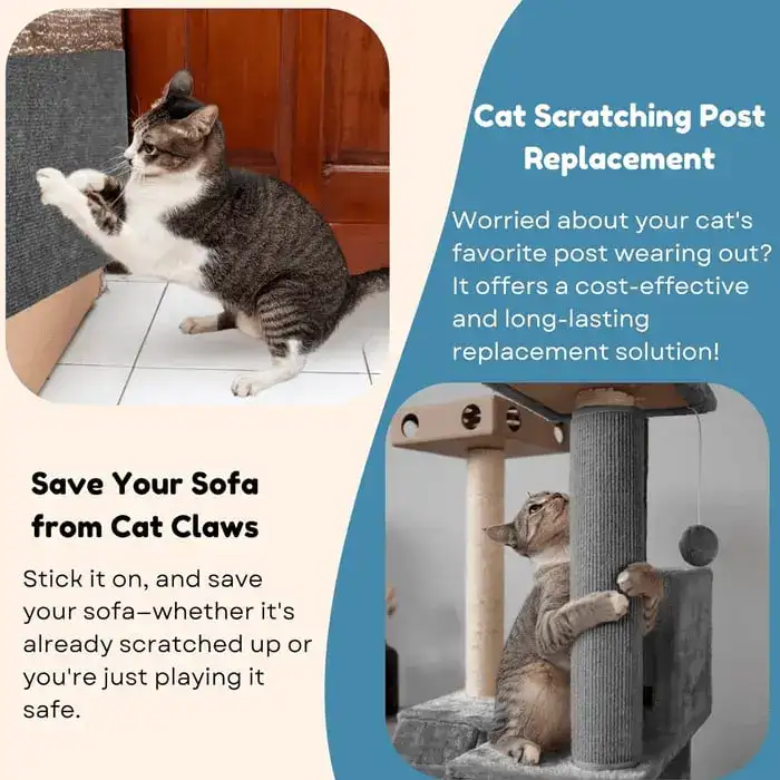 Furniture Protection