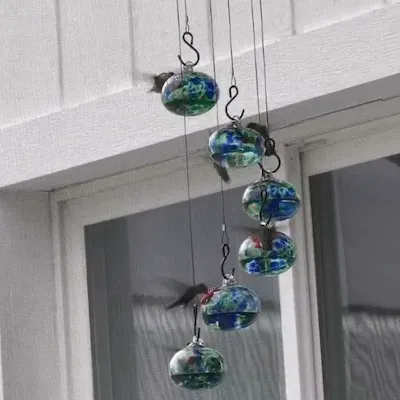 Hummingbird Feeder Animation