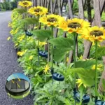 Waterproof Solar Sunflower Light - Image 12