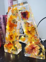 Floral Resin Night Light - Image 4